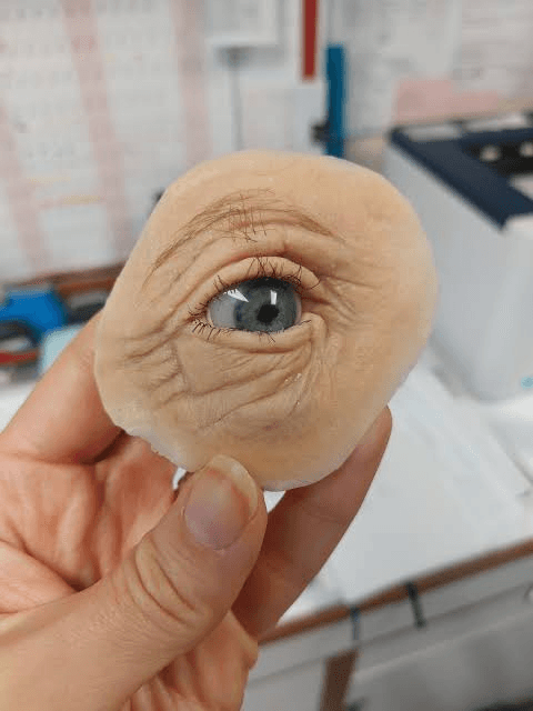 Advanced functional prosthesis